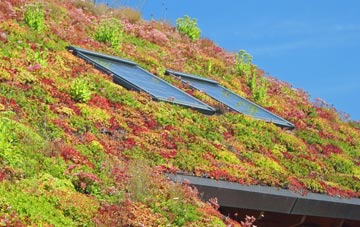 Little Gorsley living roof systems